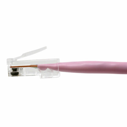 CAT 5e Patch Cable, UTP Stranded, Non-booted, Pink - Image 2