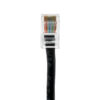 TAA CAT 5e Patch Cable, UTP Stranded, Non-booted, Black - Image 4