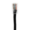 TAA CAT 5e Patch Cable, UTP Stranded, Non-booted, Black - Image 2